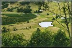 Vineyards of the Hunter Valley